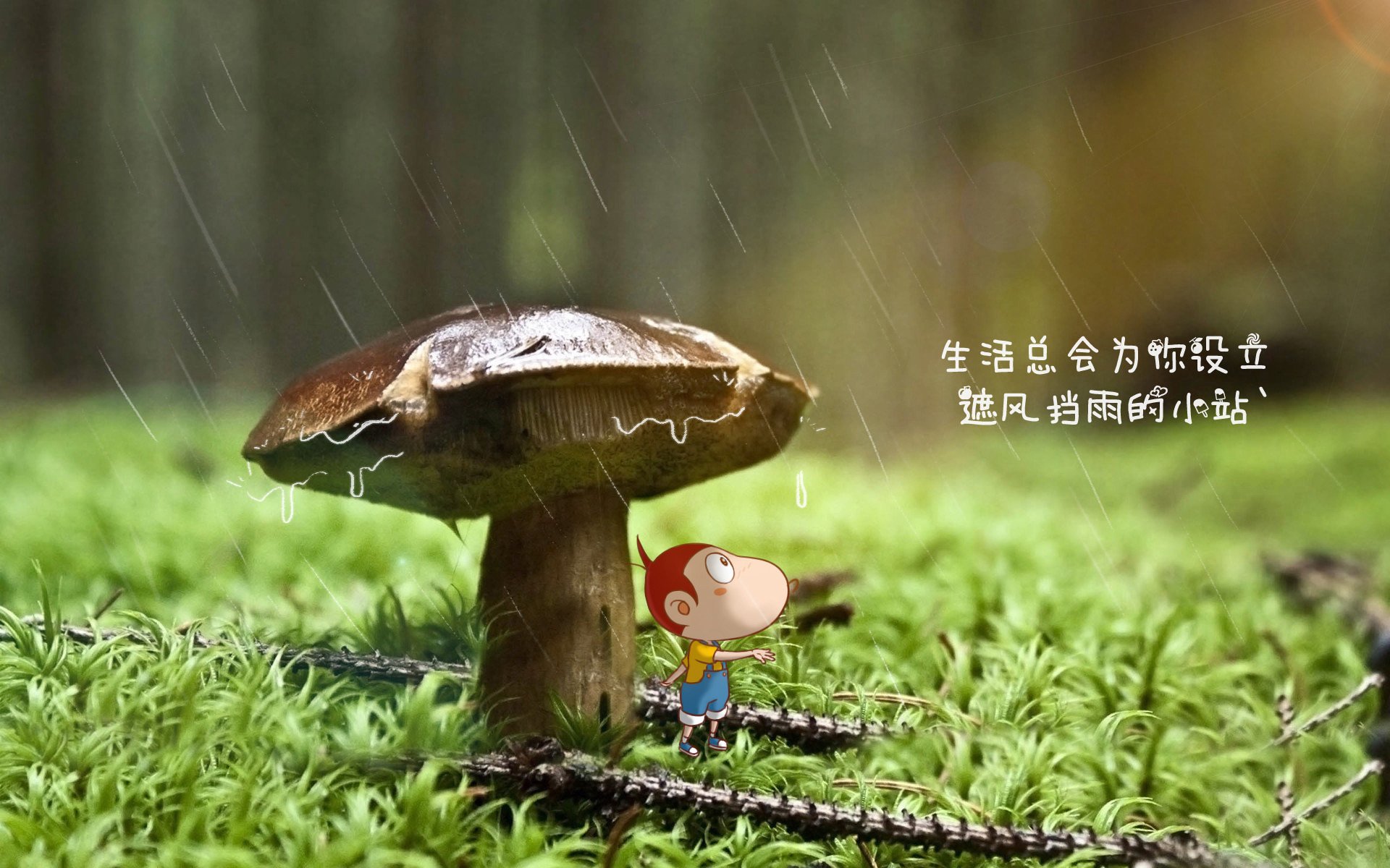 “青训作品展在上海举办,展现未来足球人才”,2019足球青训营