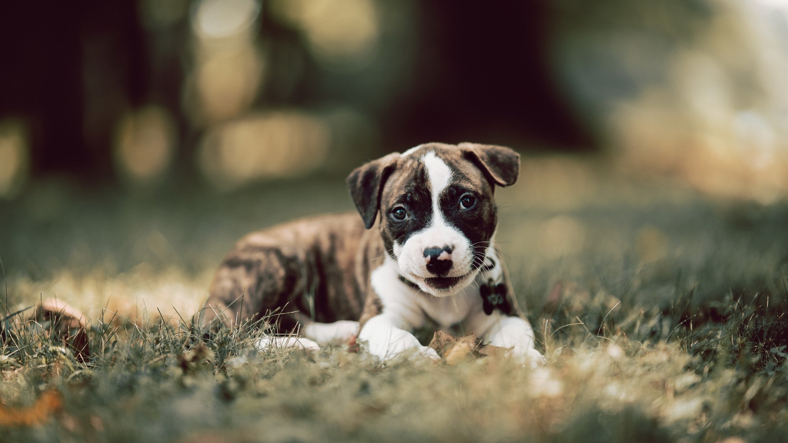 kaiyun.com-复盘精彩对决：年度最佳比赛片段精选，精彩对决是什么意思