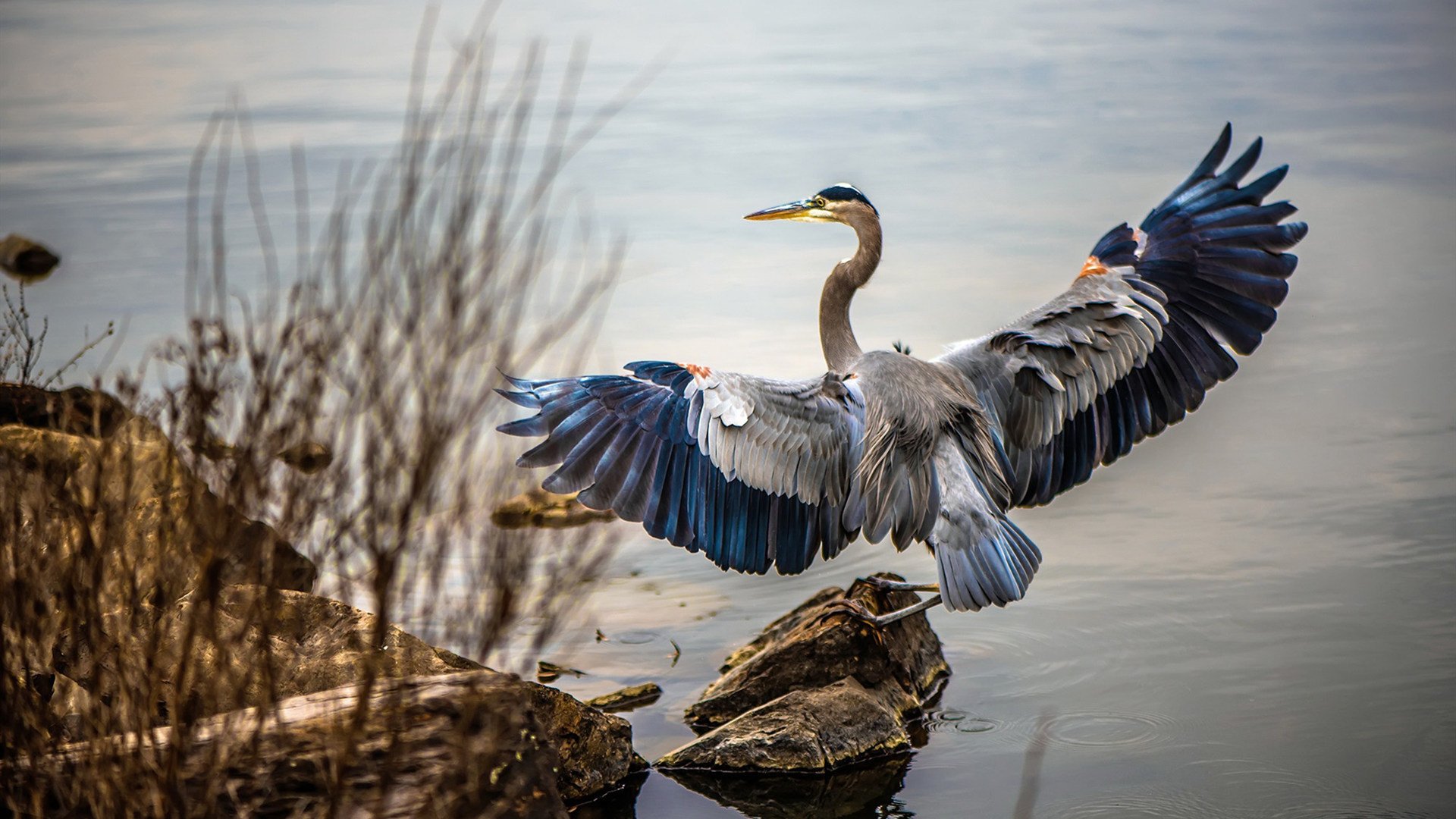 复盘精彩对决：年度最佳比赛片段精选，精彩对决是什么意思