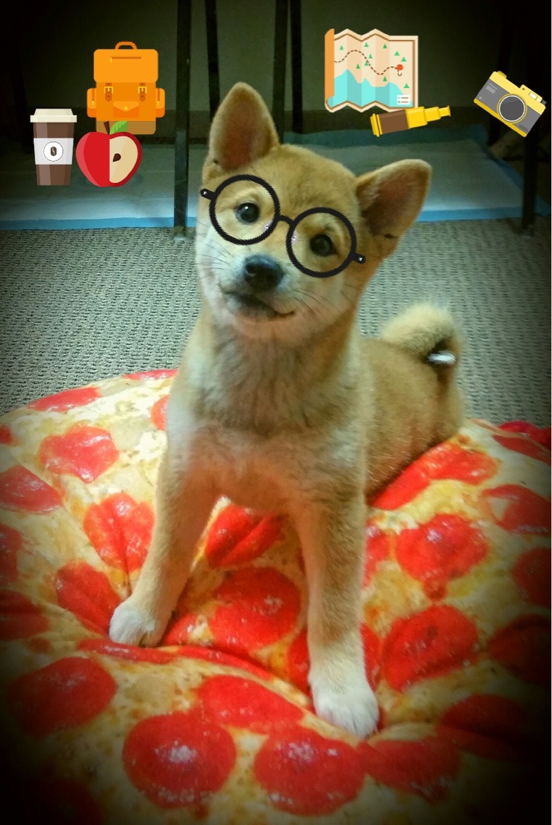 kaiyun网站-德甲榜首更迭：莱比锡在最后时刻绝杀多特，莱比锡德乙